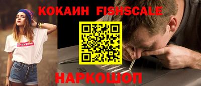 Альфа ПВП Малгобек