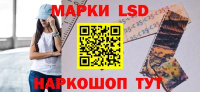 Альфа ПВП Малгобек