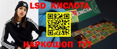 Альфа ПВП Малгобек