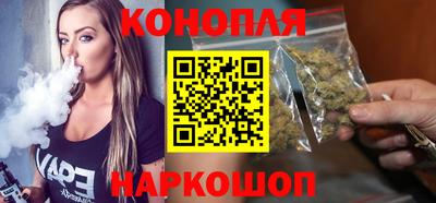 Альфа ПВП Малгобек