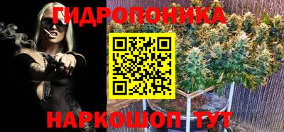 гидра Малоярославец