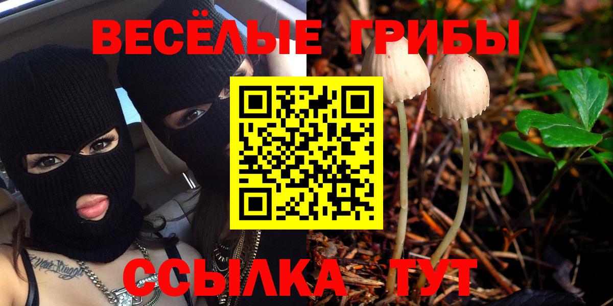 Шадринск  Псилоцибиновые грибы MAGIC MUSHROOMS  Вход с VPN 